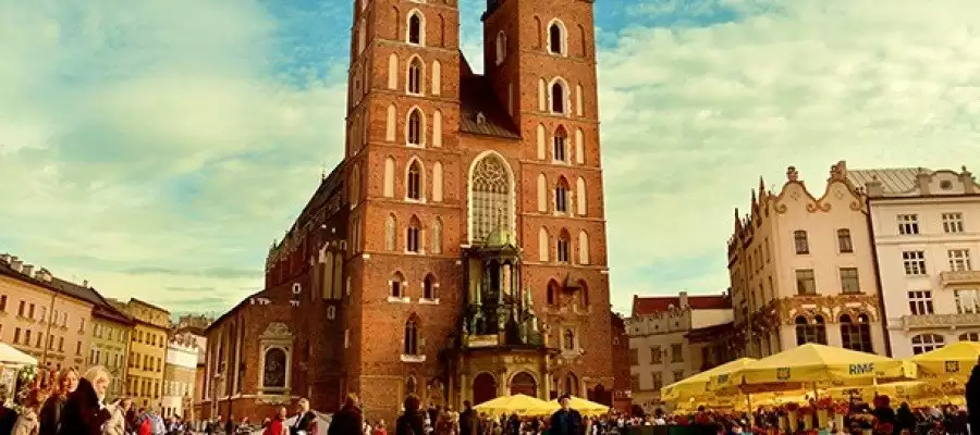 Polonya’da Eğitim Almanız için 11+ Neden