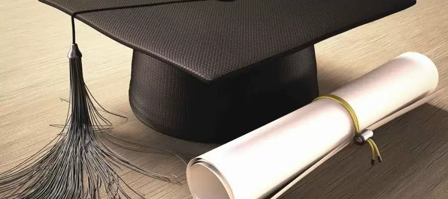 Master Yapmak Ne Demek?