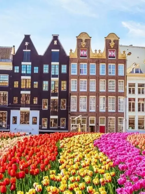 Hollanda