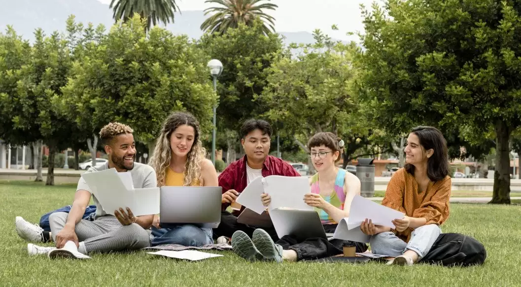 TSoM: Sertifika ve Diploma Programları