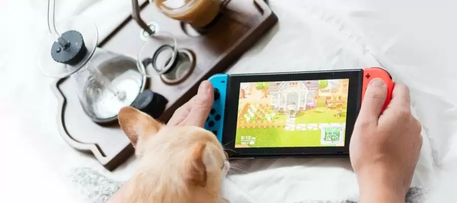 Dijital Oyun Tasarımı Bölümü İle Kariyer Planlaması