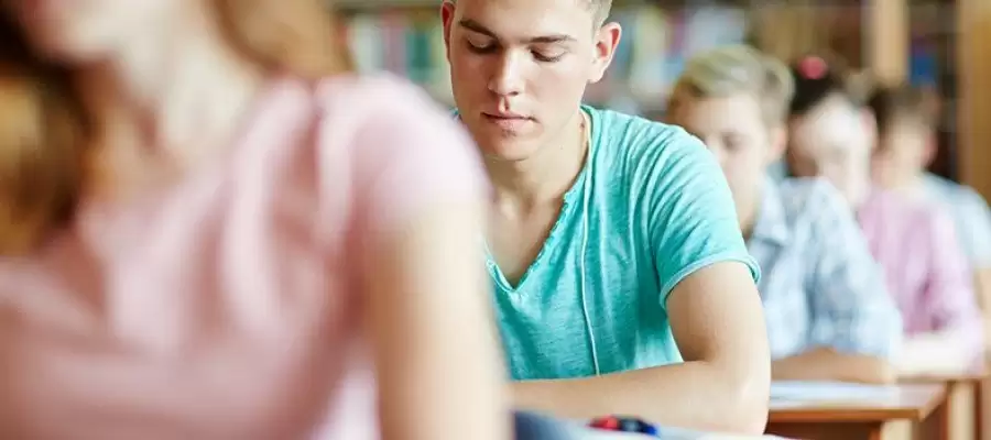 DSU Bursu Nedir, Şartları Nelerdir?