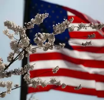 Accommodation in America