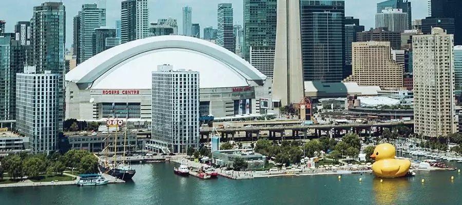 Neden Kanada'da Yabancı Dil Öğrenmelisiniz?