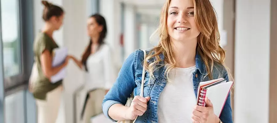 AP Programı Ne Demek?