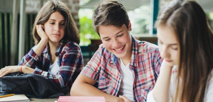 A Level Nedir? A Level Nedir?